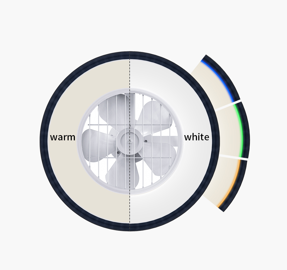 60 Watts Quality Main Light